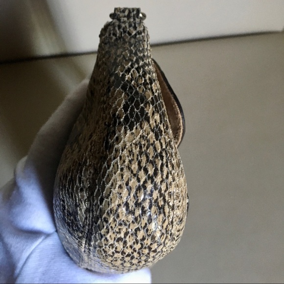 Talbot’s Clutch - Picture 7 of 11